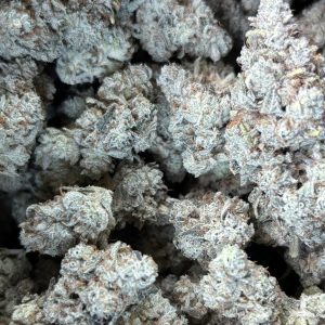 **P.R.** Gorilla Glue